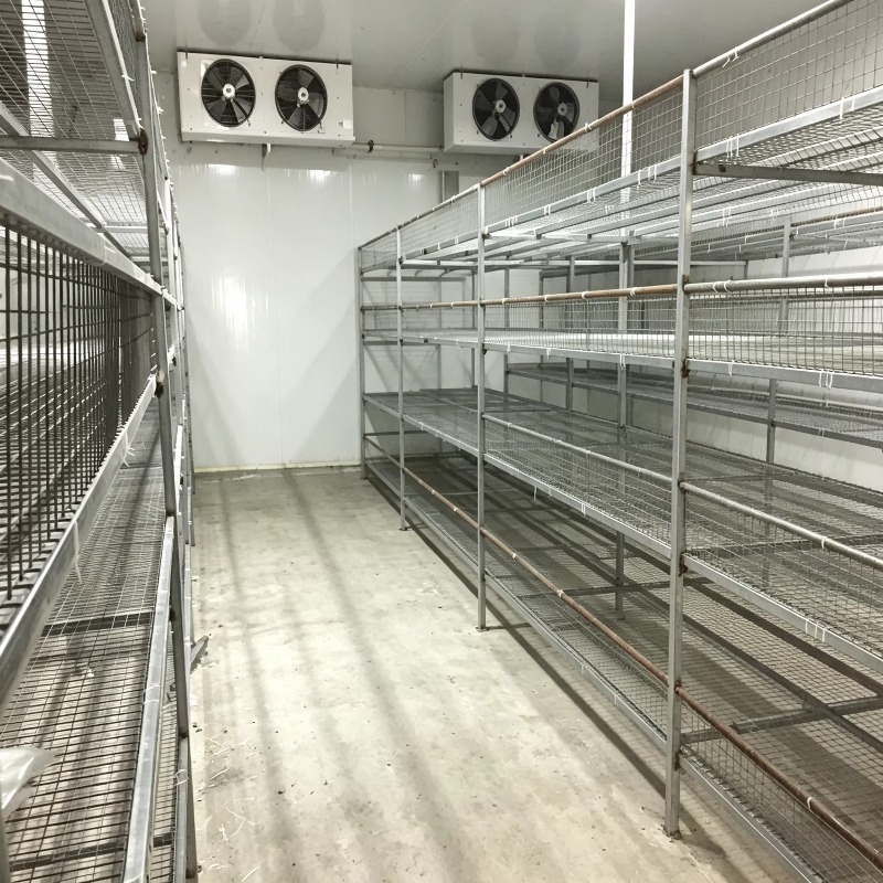 Hydroponische containerfarm me - Urban Farming Project recensie en prijs